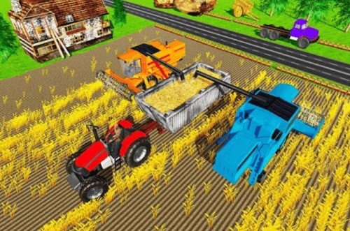 ��԰���� (3)