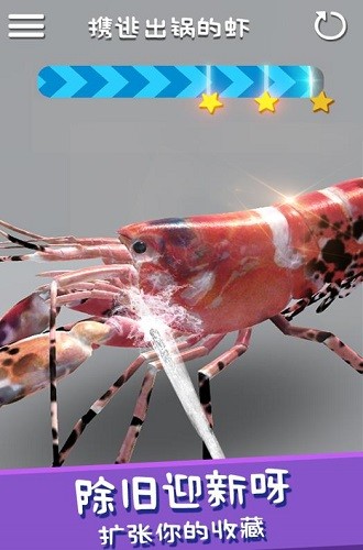 ϴ����������Ѽ (4)