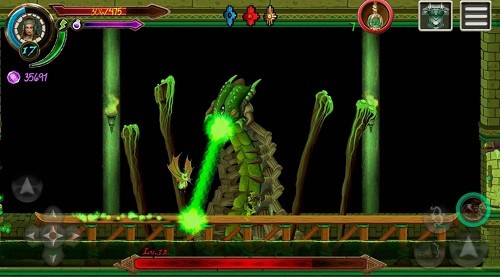 ������ (1)