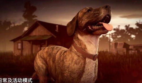 �´����˹�2 (4)