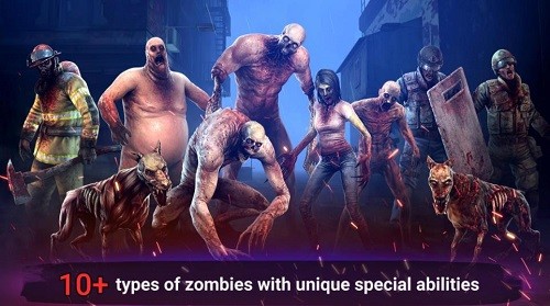 ɥʬ���� (1)