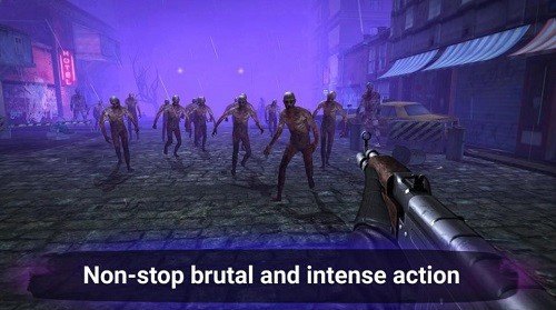 ɥʬ���� (3)