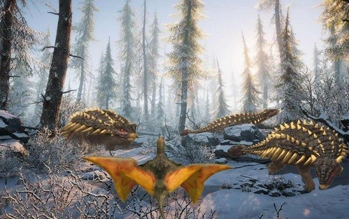 ������ģ���� (2)