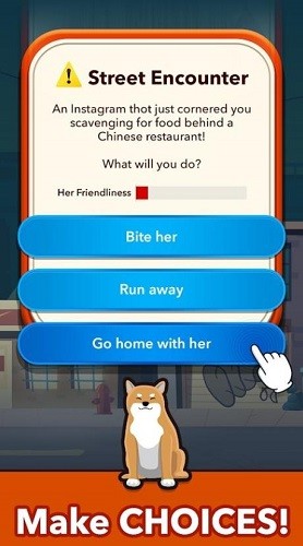 �������� (3)