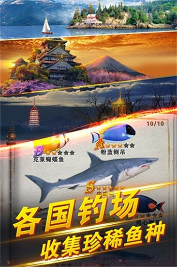 20210322014331646