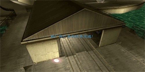 113