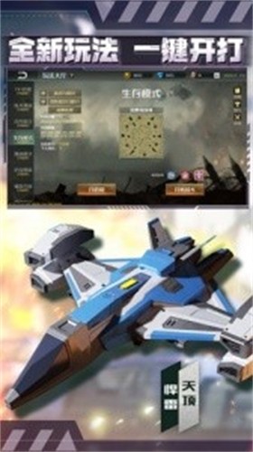 113